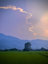 Scenic view of field against sky during sunset