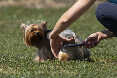 Midsection of man with dog on grassy field