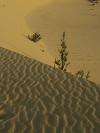 Scenic view of sand dune in desert against sky