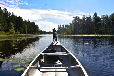 Dog standing on canoe in a lake