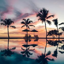 Silhouette palm trees by swimming pool against sky during sunset