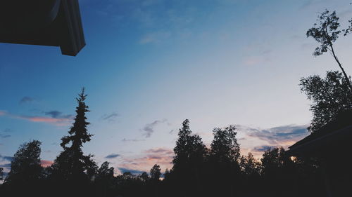 Low angle view of trees against blue sky