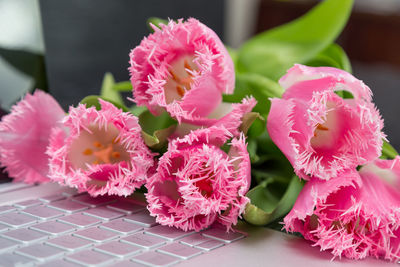 Close-up of pink flowers and laptop on table