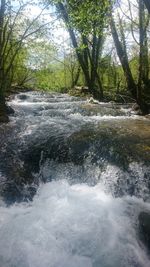 Scenic view of waterfall in forest