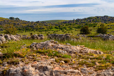 Scenic view of landscape against sky