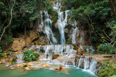 Scenic view of waterfall in forest