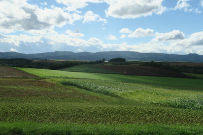 Scenic view of agricultural field against sky