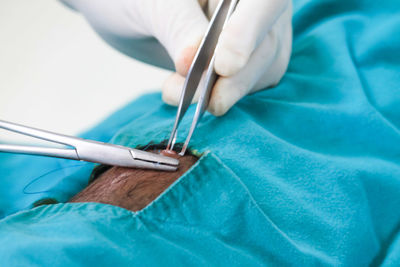 Cropped hands of doctor operating patient against white background