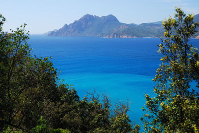 Scenic view of sea against clear blue sky