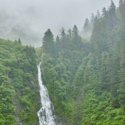 Scenic view of waterfall in forest against sky