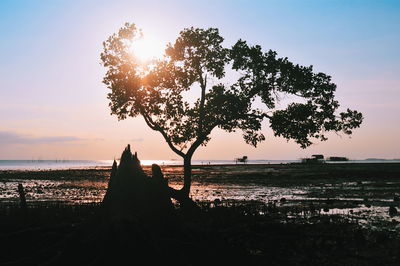 Silhouette tree by sea against sky during sunset