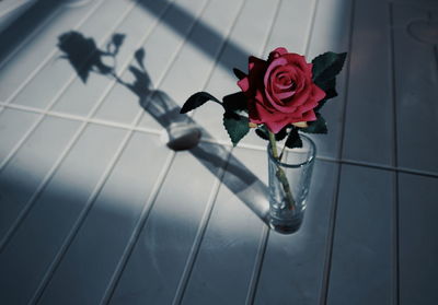 High angle view of rose on floor