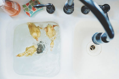 High angle view of ducklings swimming in sink at home