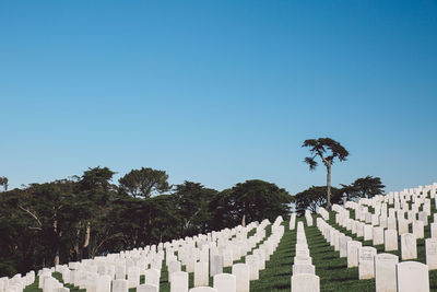 Tombstones in cemetery