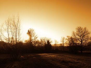 Silhouette trees against sky during sunset