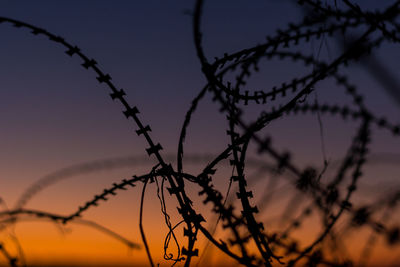 Low angle view of silhouette barbed wire against sky during sunset