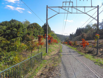 Railroad tracks by trees against sky