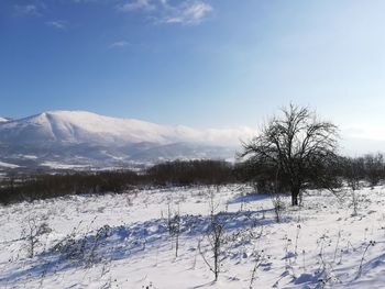 Scenic view of snowcapped field against sky