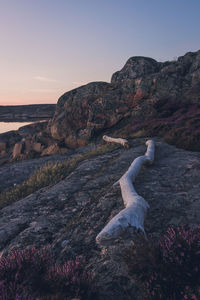 Fallen tree trunk on rock against clear sky