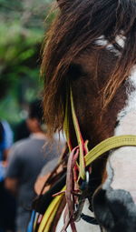 Rear view of woman with rope