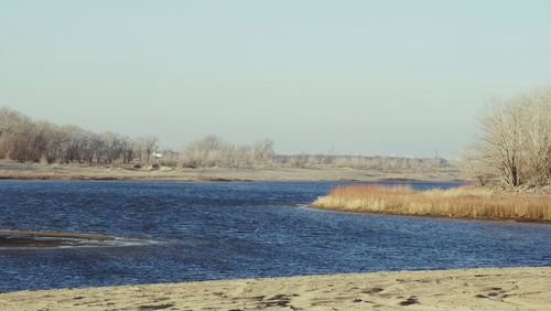 Trees on riverbank against clear sky