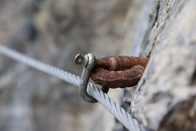 Close-up of rope tied on metal chain