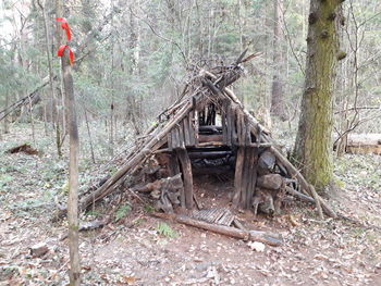 Wooden structure on field in forest