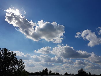 Low angle view of trees against blue sky