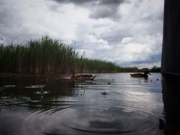 Scenic view of lake against cloudy sky