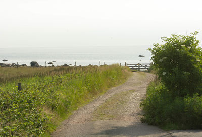 Footpath passing through landscape