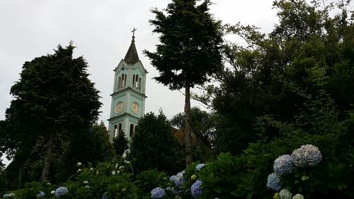 Low angle view of church