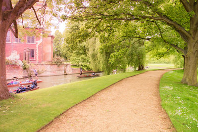 Trees in park against sky in city