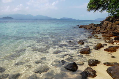 Scenic view of sea against sky