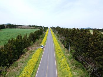 Panoramic view of road amidst trees on field against sky