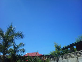 clear sky