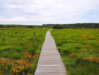 Wooden walkway in eupen at the ardennes in belgium