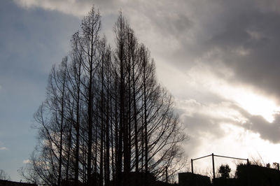 Low angle view of silhouette bare trees against sky
