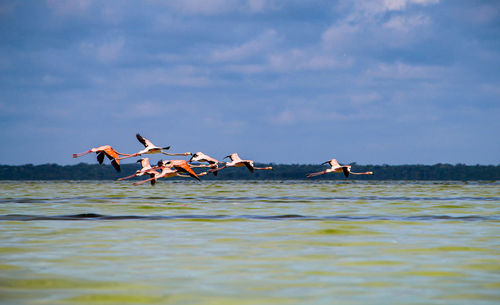 People flying over sea against sky