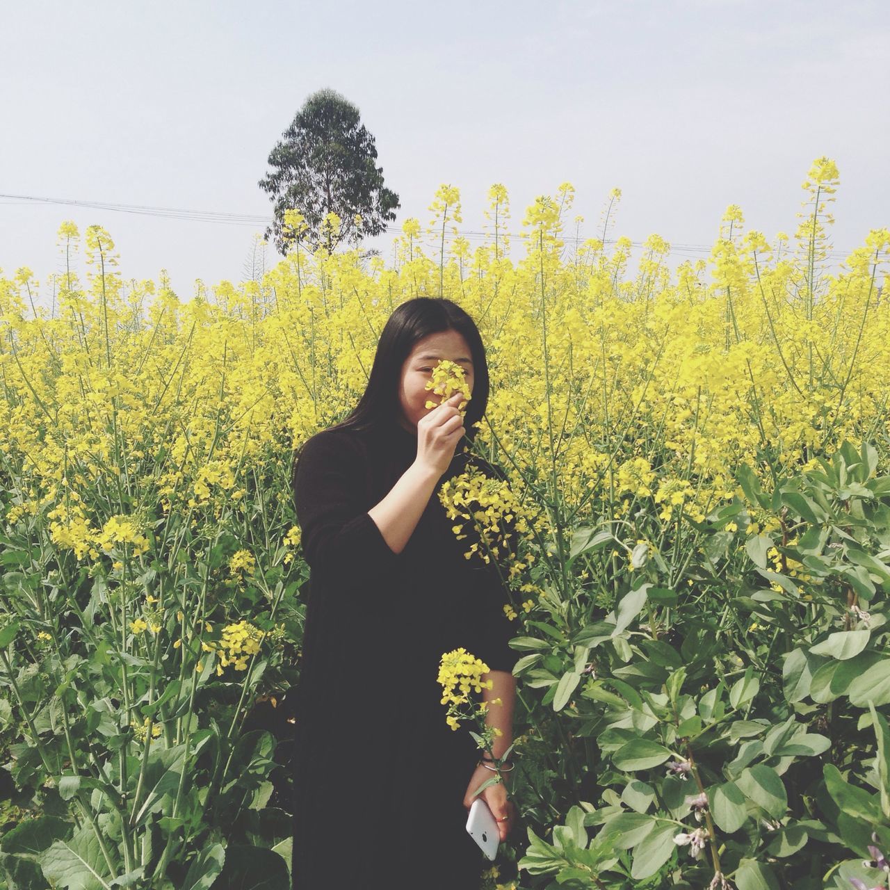 young adult, flower, person, young women, yellow, lifestyles, standing, casual clothing, growth, looking at camera, plant, front view, portrait, leisure activity, waist up, freshness, smiling, clear sky