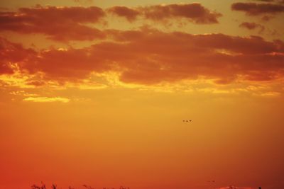 Low angle view of silhouette airplane flying against orange sky