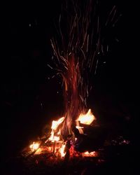 Firework display at night