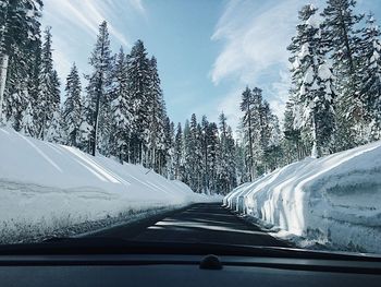 Road amidst trees in forest during winter