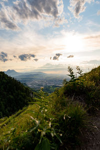 Scenic view of field against sky during sunset