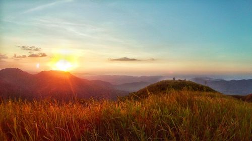 Scenic view of field against sky during sunset