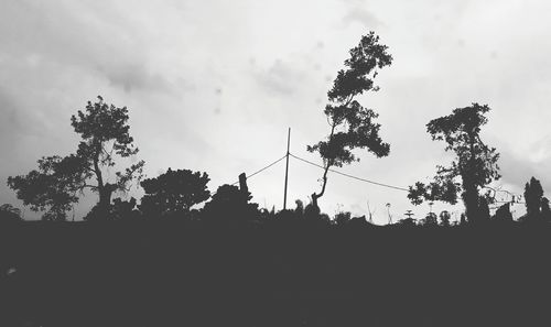 Low angle view of silhouette birds against sky