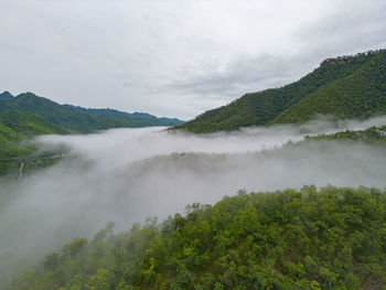 Aerial top view