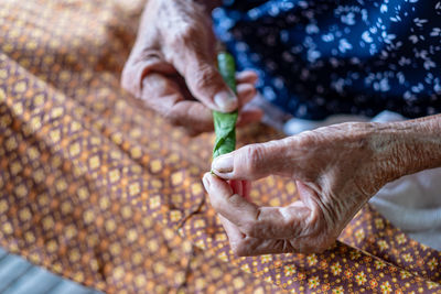 Close-up of hand holding food