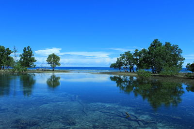 Scenic view of lake against blue sky