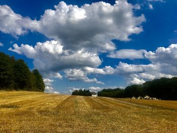 Scenic view of agricultural field against sky