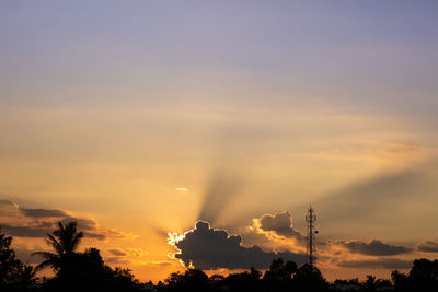 Low angle view of silhouette trees against sky during sunset